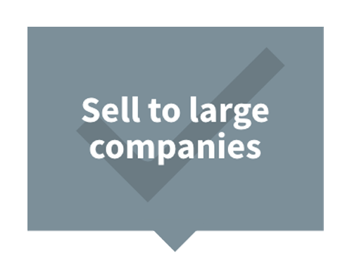 sell_to_large_companies